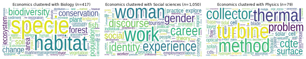 Word clouds for dissertations assigned to Economics DDC but clustered with another topic.